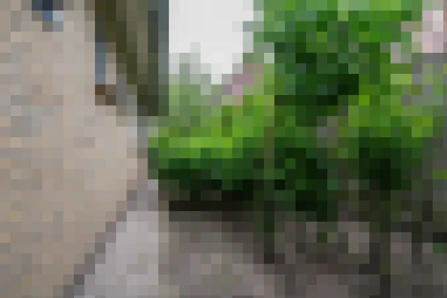Oude Kerkstraat 30 A Veldhoven thumbnail 55