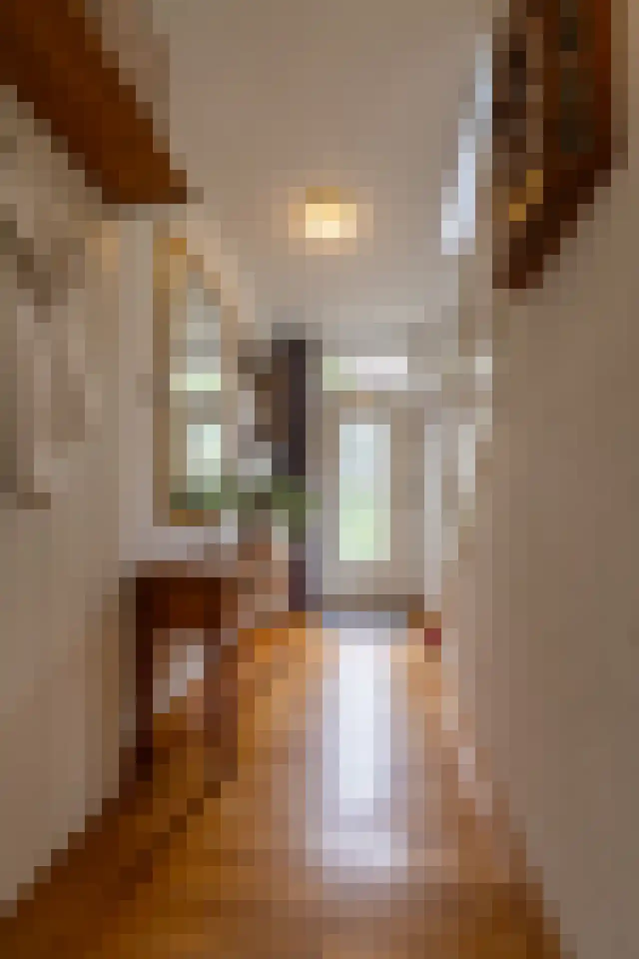 Oude Kerkstraat 30 A Veldhoven thumbnail 6