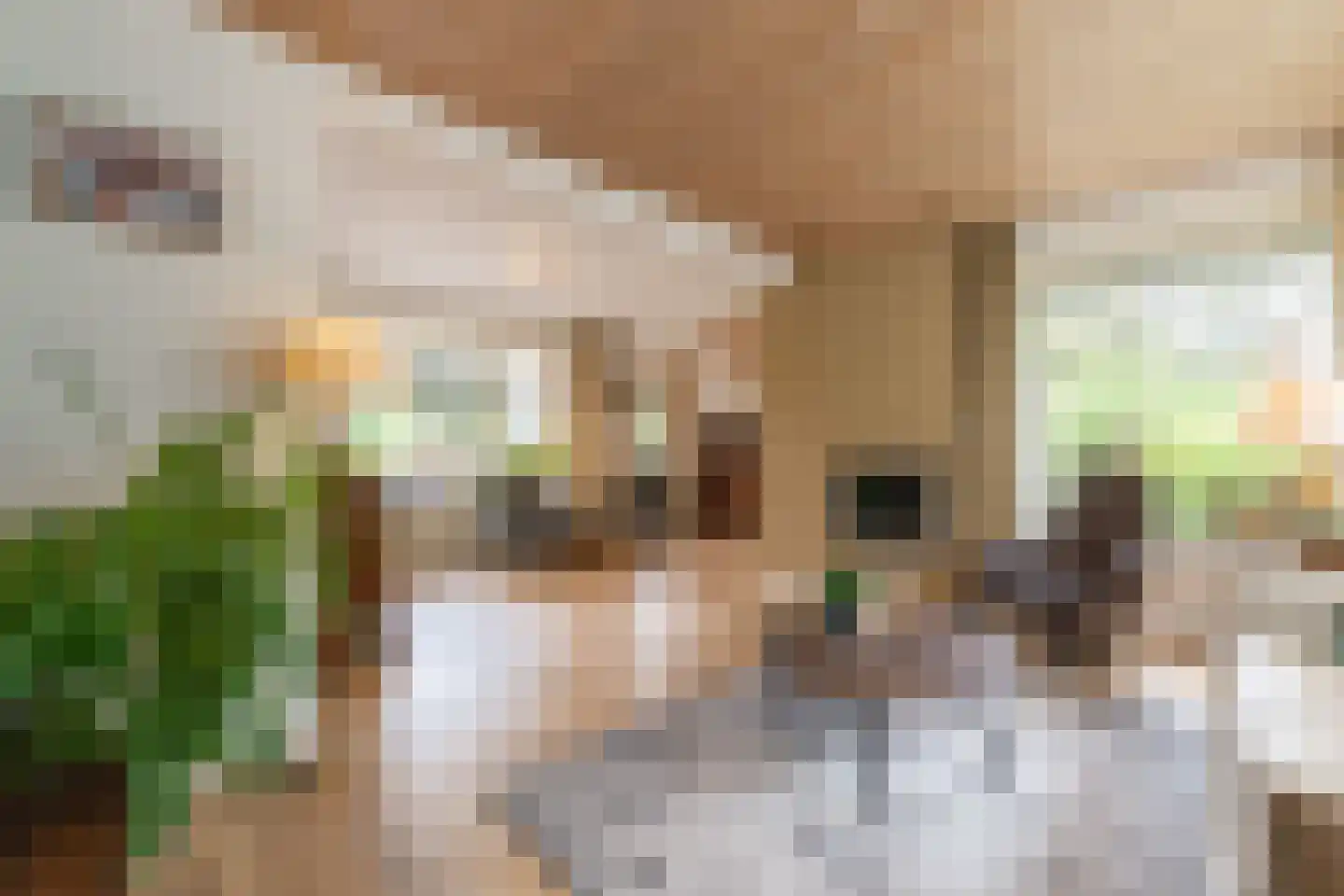 Oude Kerkstraat 30 A Veldhoven thumbnail 9
