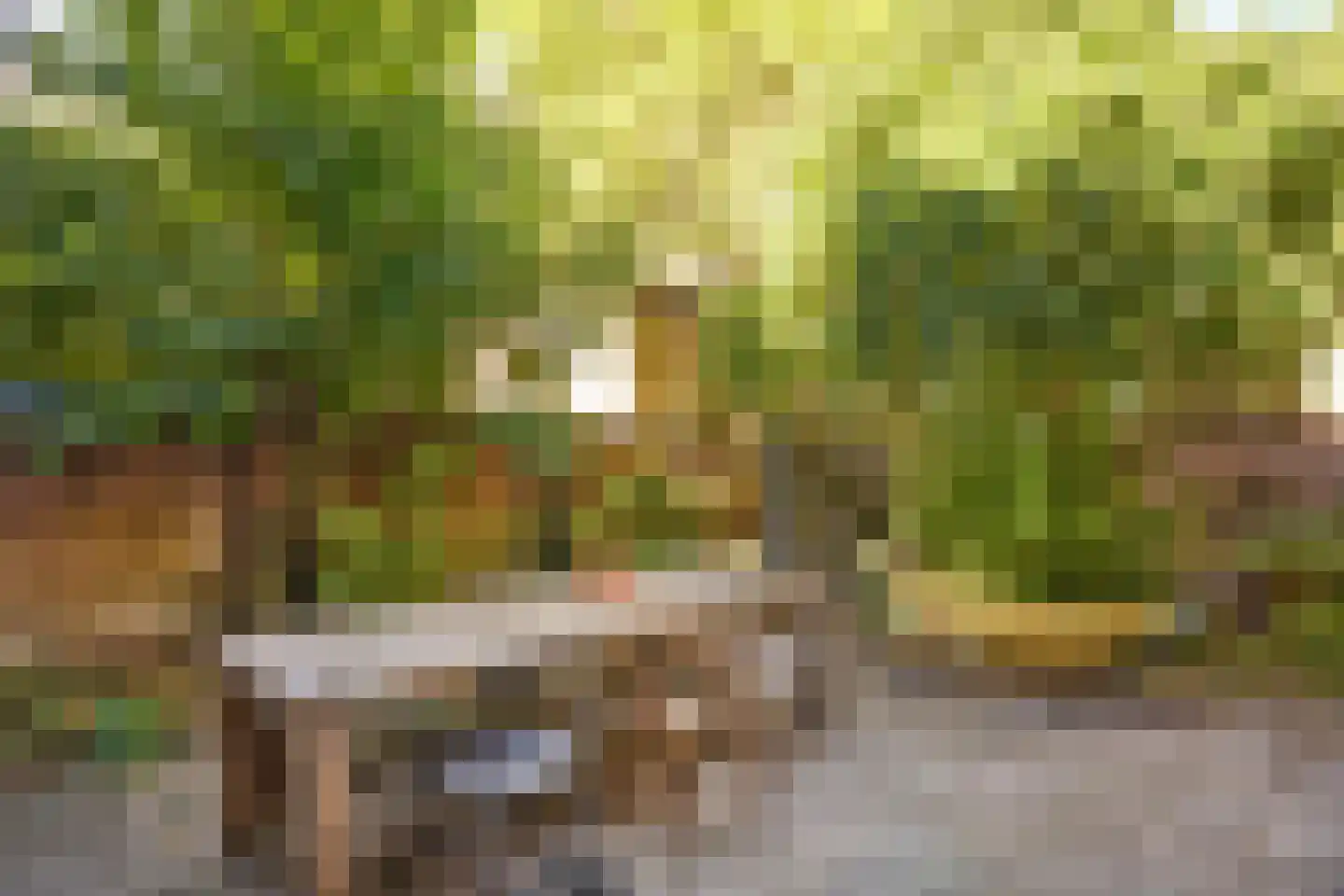 Oude Kerkstraat 30 Utrecht thumbnail 12