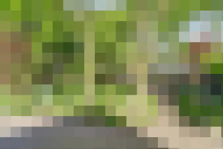 Oude Kerkstraat 33 Duizel thumbnail 47