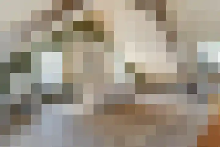 Oude Kerkstraat 33 Duizel thumbnail 52