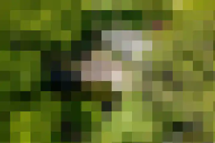 Oude Kerkstraat 33 Duizel thumbnail 64