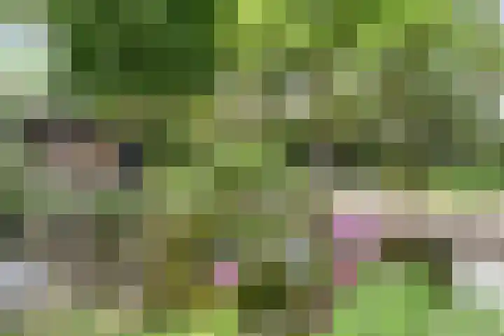 Oude Kerkstraat 33 Duizel thumbnail 68