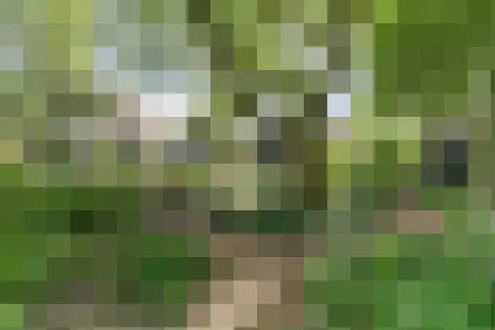 Oude Kerkstraat 33 Duizel thumbnail 69
