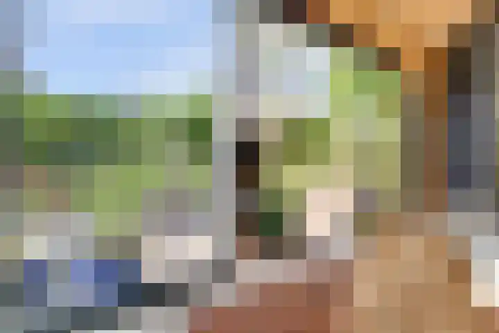 Oude Kerkstraat 33 Duizel thumbnail 7