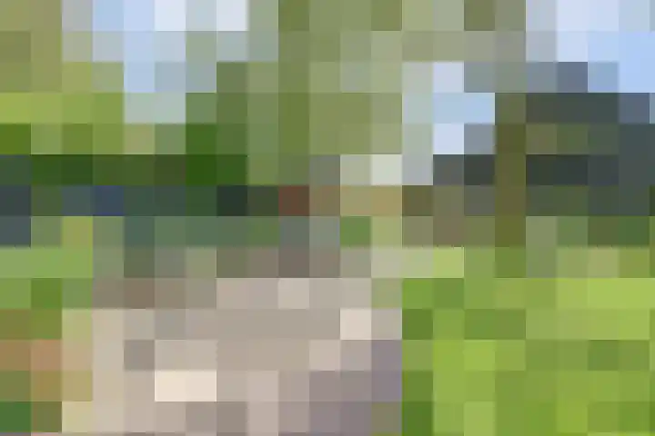 Oude Kerkstraat 33 Duizel thumbnail 77
