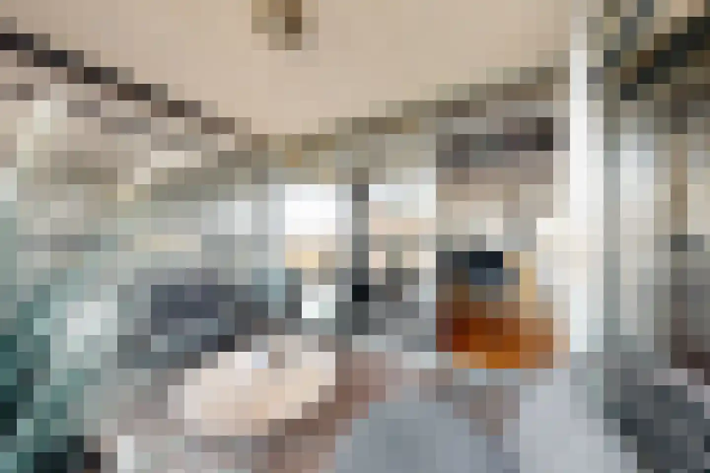 Oude Kerkstraat 34 Zevenbergen thumbnail 31