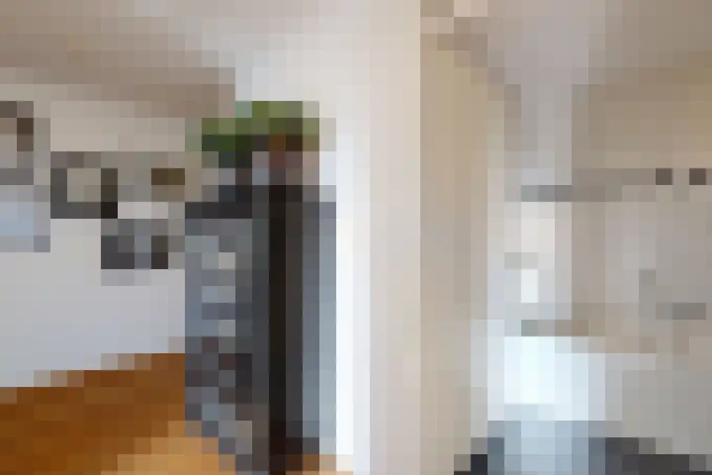 Oude Kerkstraat 34 Zevenbergen thumbnail 32