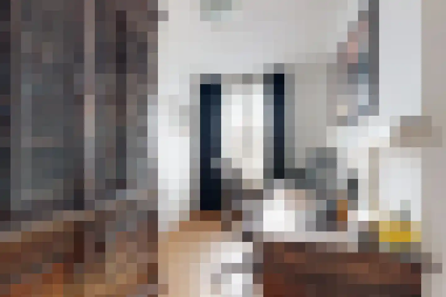 Oude Kerkstraat 34 Zevenbergen thumbnail 33