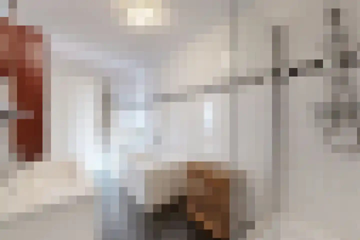 Oude Kerkstraat 34 Zevenbergen thumbnail 39