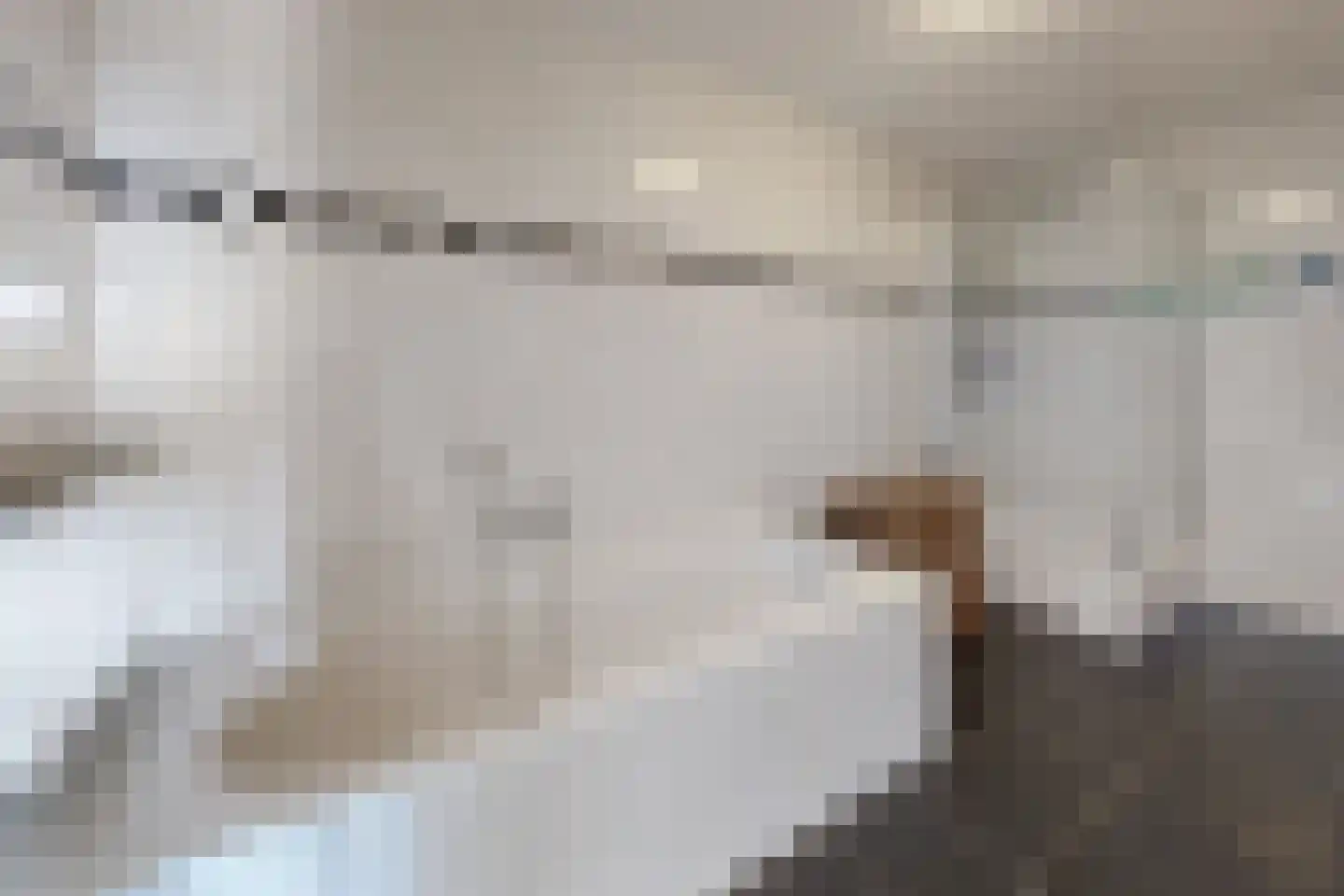 Oude Kerkstraat 34 Zevenbergen thumbnail 42