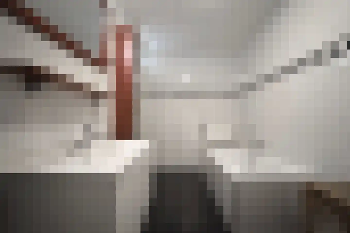 Oude Kerkstraat 34 Zevenbergen thumbnail 43
