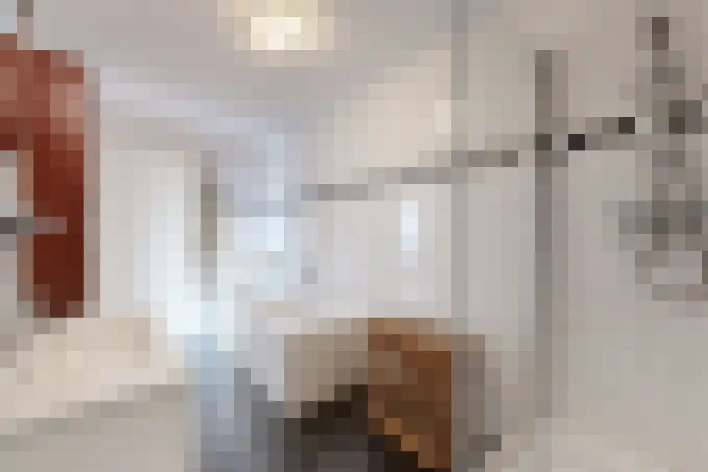 Oude Kerkstraat 34 Zevenbergen thumbnail 5