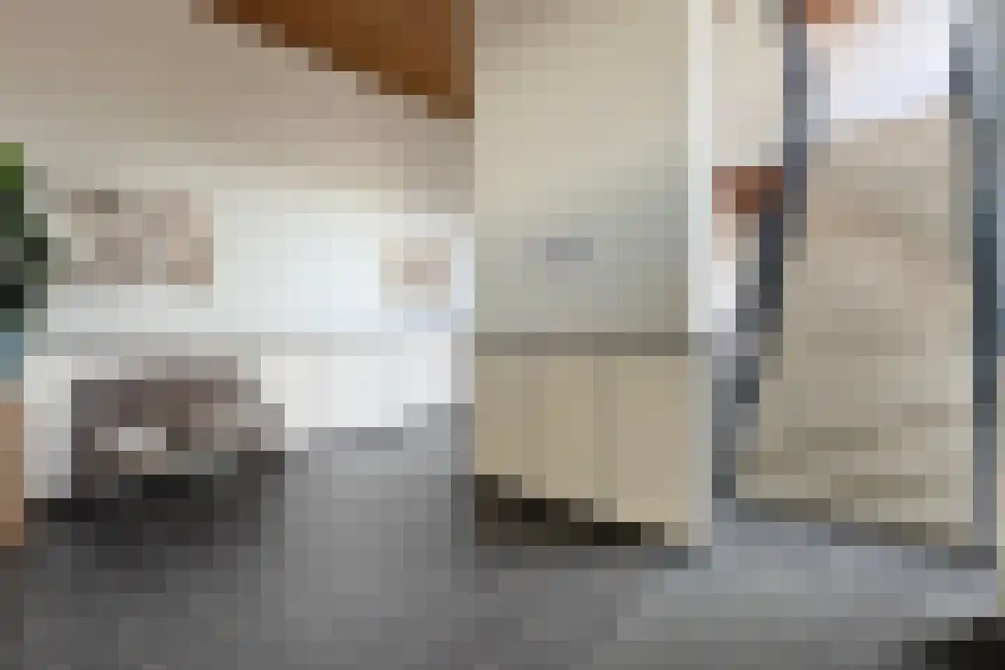 Oude Kerkstraat 34 Zevenbergen thumbnail 52