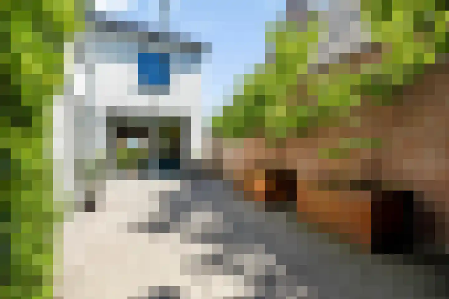 Oude Kerkstraat 37 Veldhoven thumbnail 108