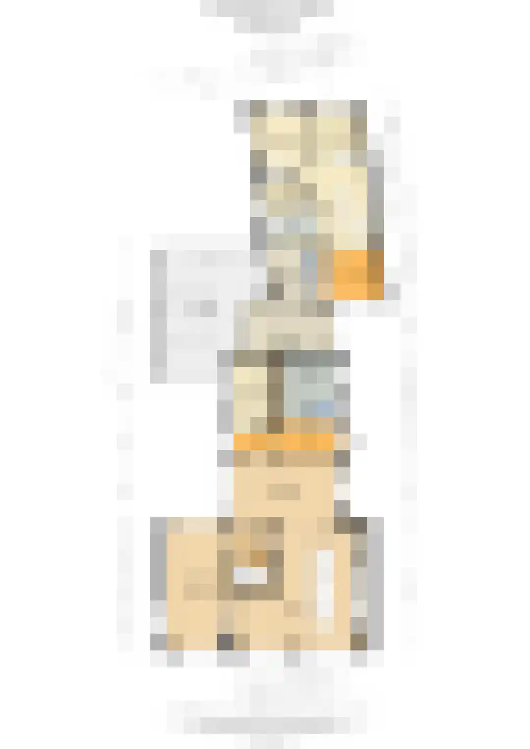 Oude Kerkstraat 37 Veldhoven thumbnail 111