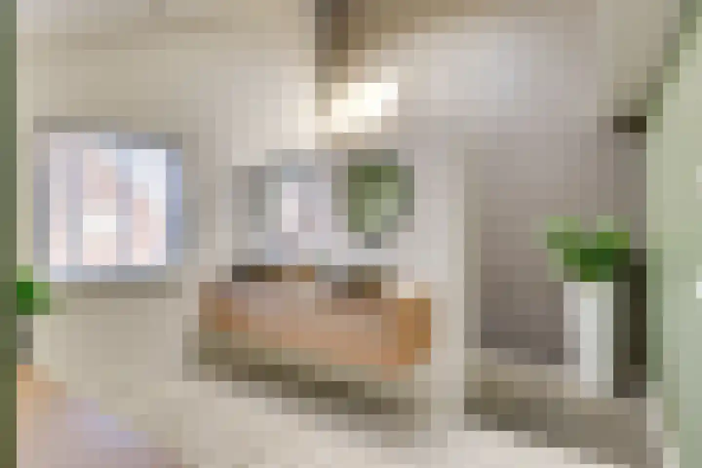 Oude Kerkstraat 37 Veldhoven thumbnail 40