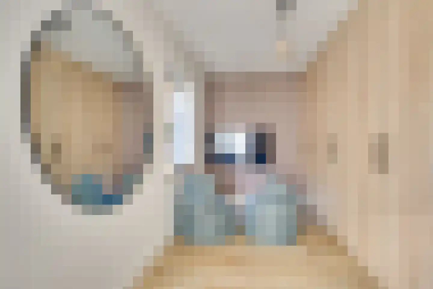 Oude Kerkstraat 37 Veldhoven thumbnail 5