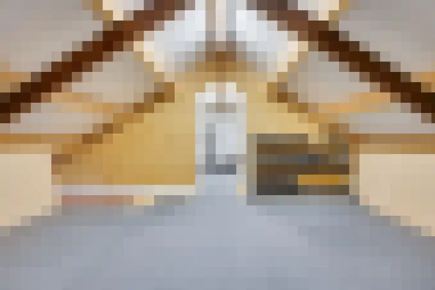 Oude Kerkstraat 37 Veldhoven thumbnail 50