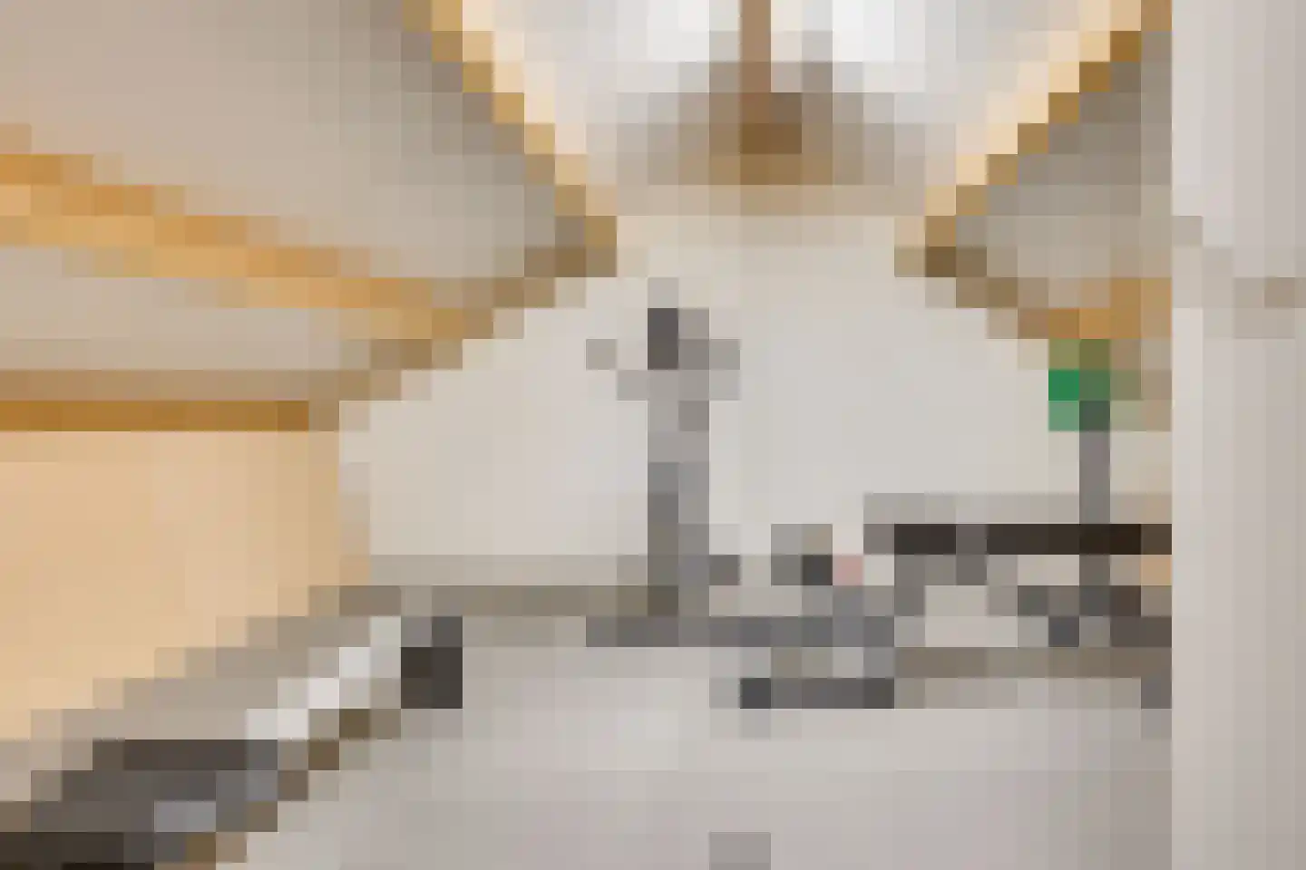 Oude Kerkstraat 37 Veldhoven thumbnail 51
