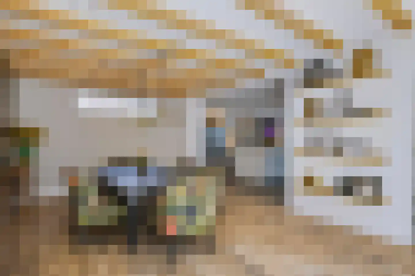 Oude Kerkstraat 37 Veldhoven thumbnail 8