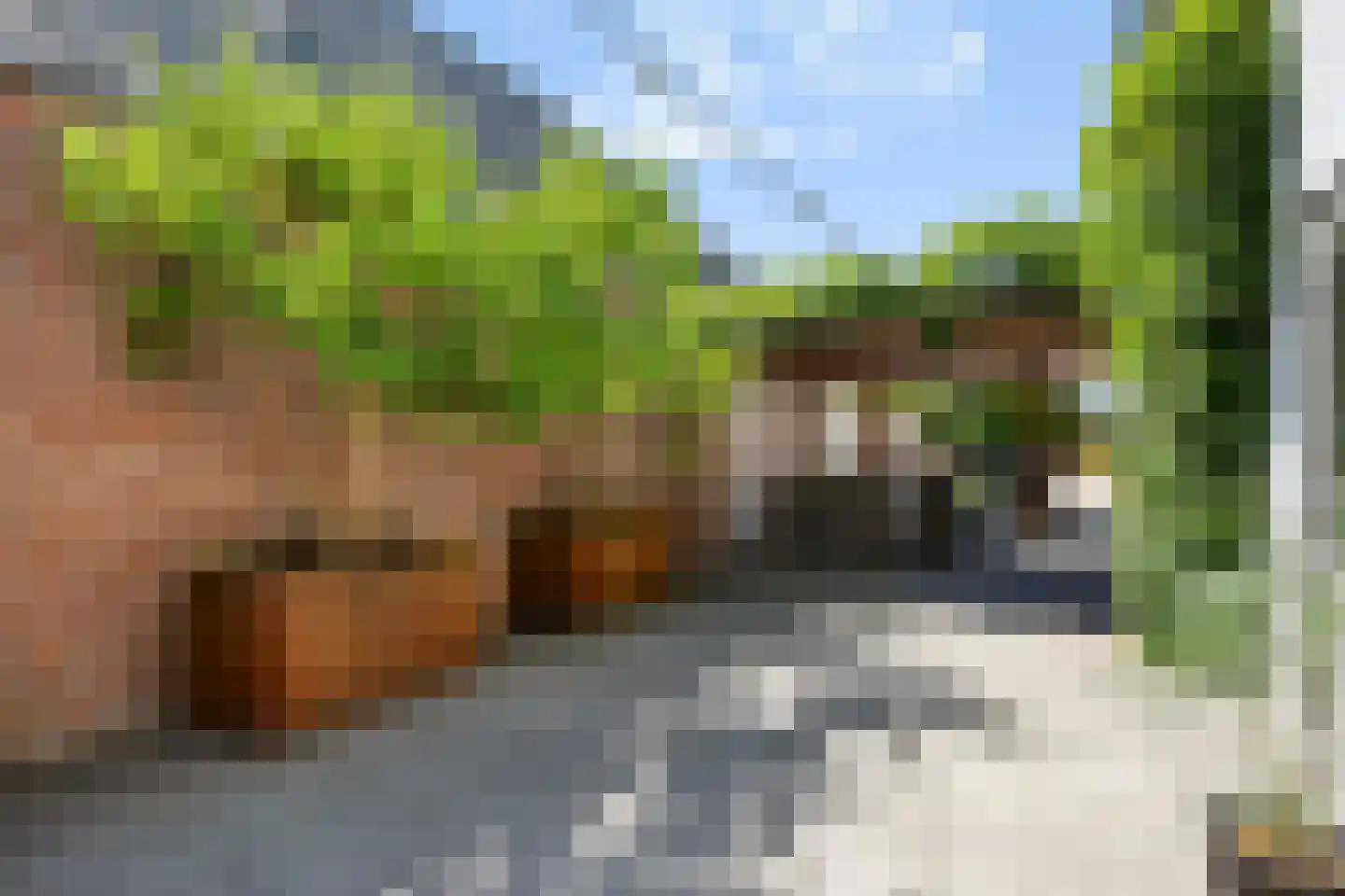 Oude Kerkstraat 37 Veldhoven thumbnail 81