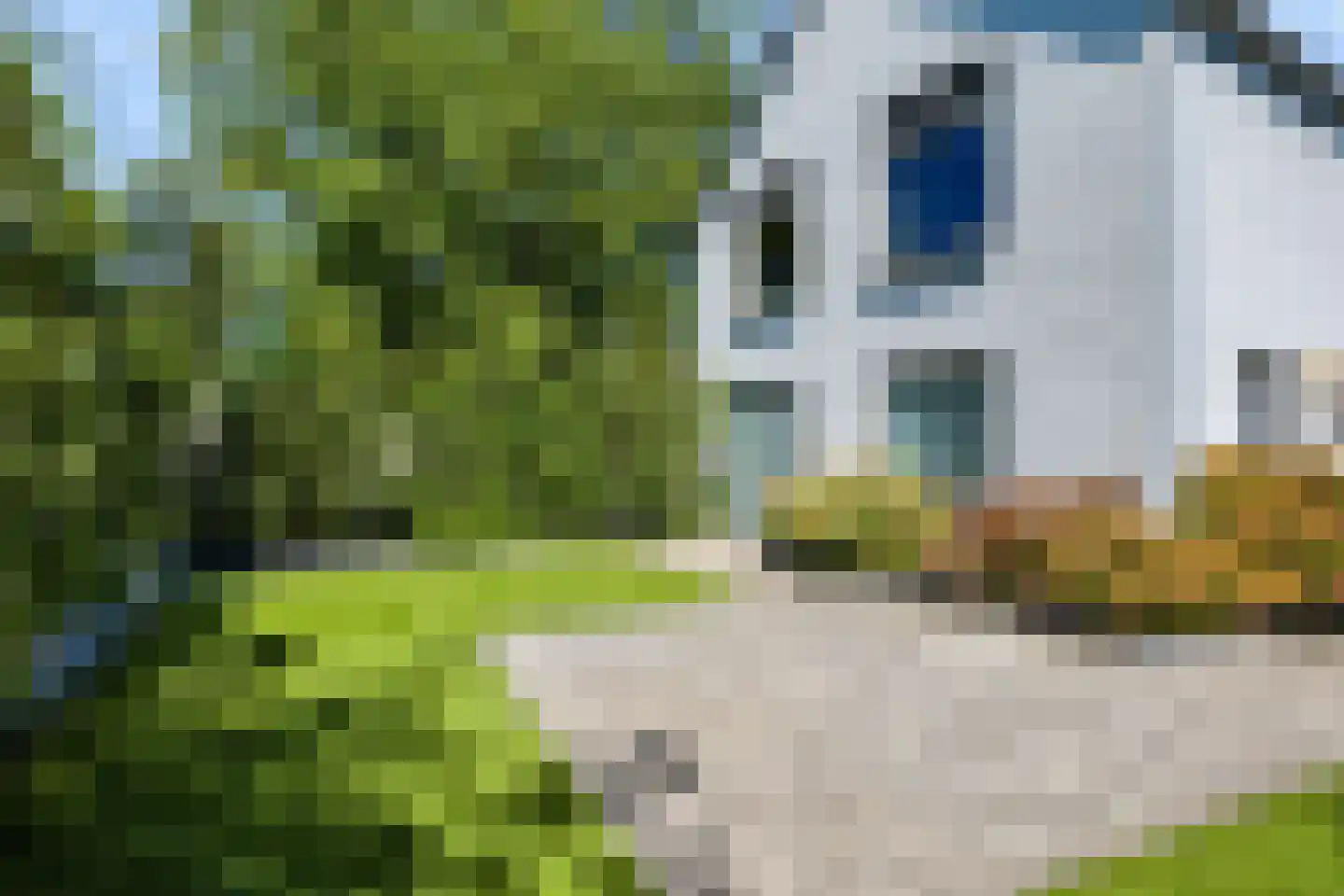 Oude Kerkstraat 37 Veldhoven thumbnail 99