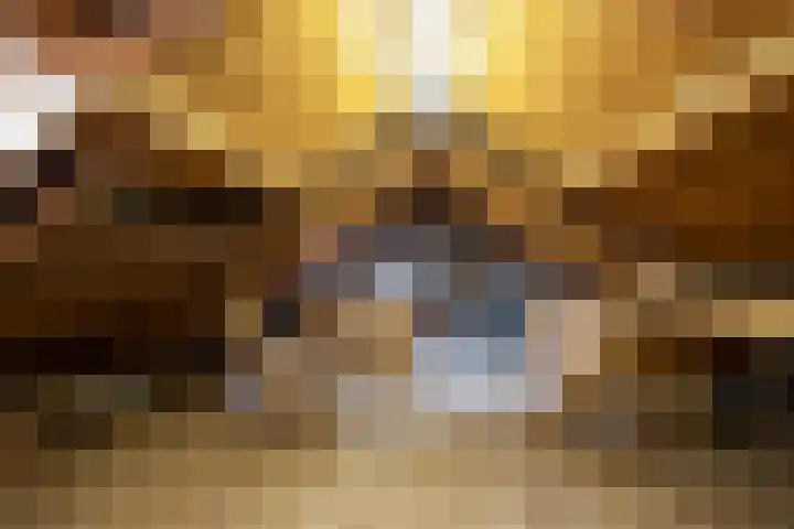 Oude Kerkstraat 38 Duizel thumbnail 18