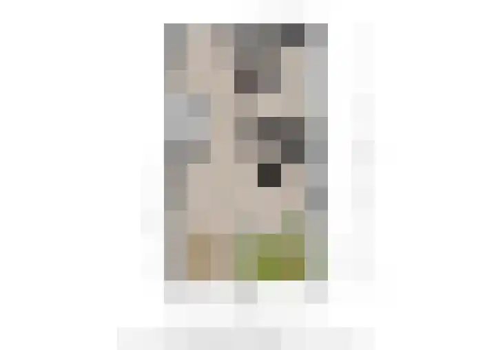 Oude Kerkstraat 43 D Oss thumbnail 23