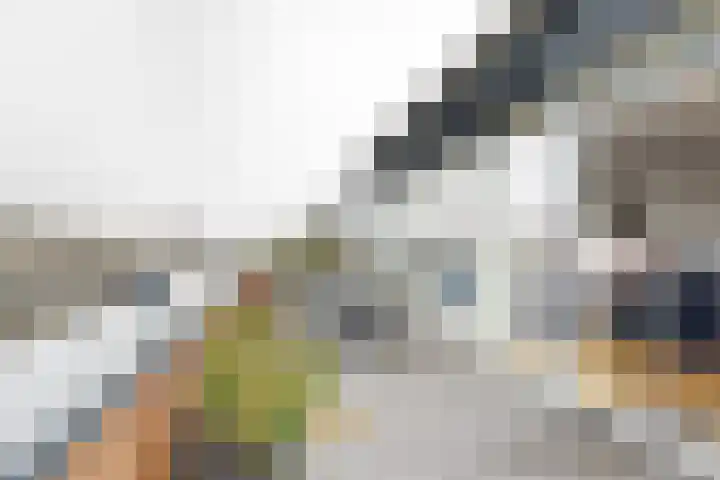 Oude Kerkstraat 44 Zevenbergen thumbnail 20