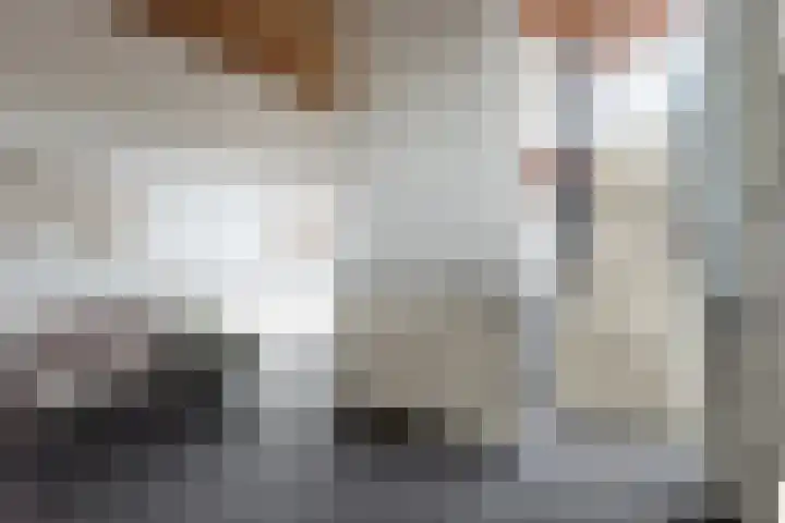Oude Kerkstraat 44 Zevenbergen thumbnail 55