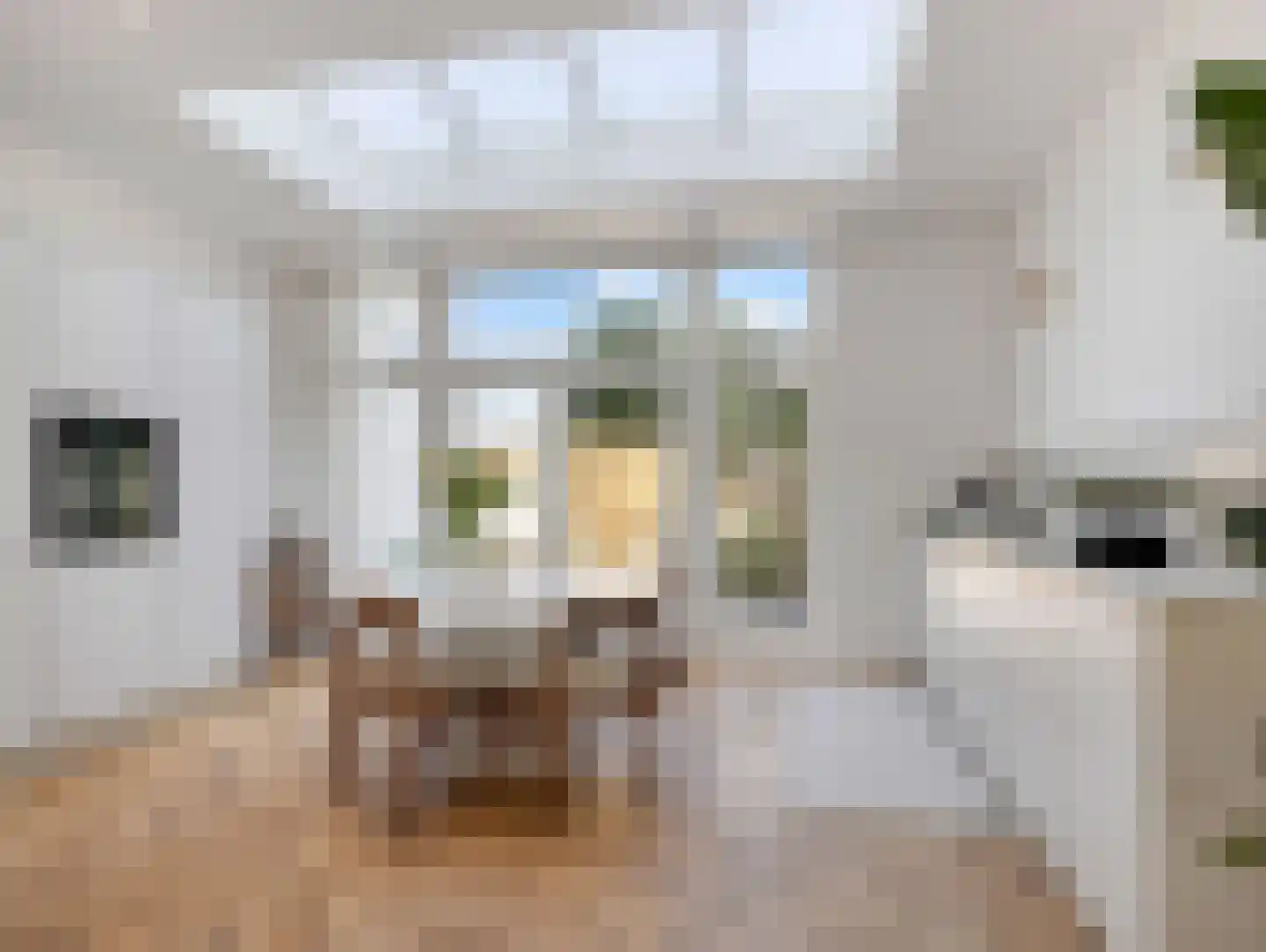 Oude Kerkstraat 48 Utrecht thumbnail 16