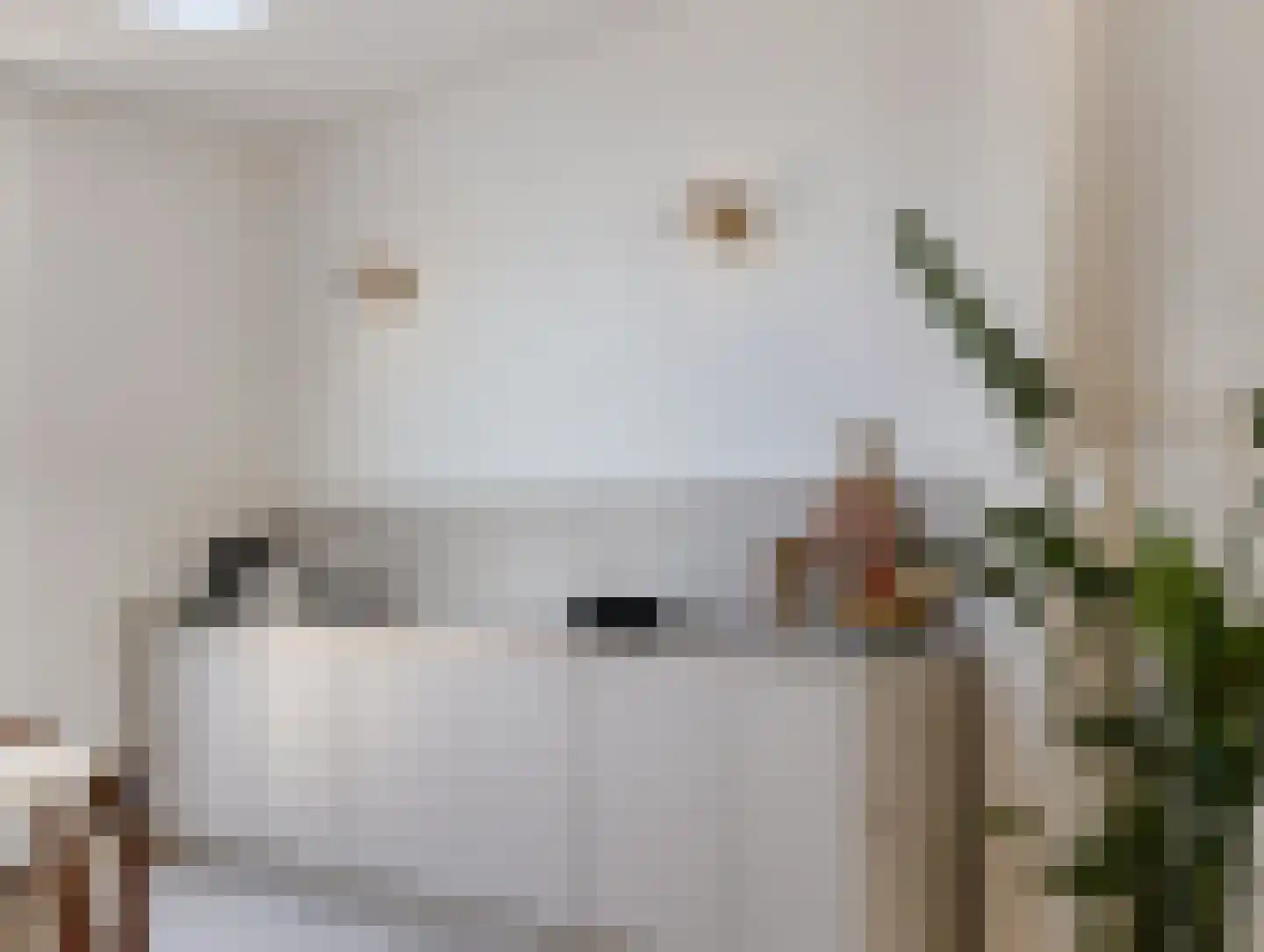 Oude Kerkstraat 48 Utrecht thumbnail 19