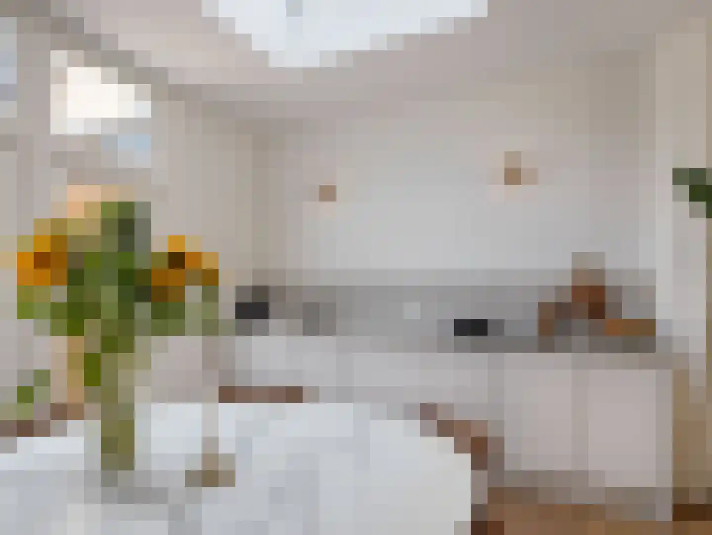 Oude Kerkstraat 48 Utrecht thumbnail 20