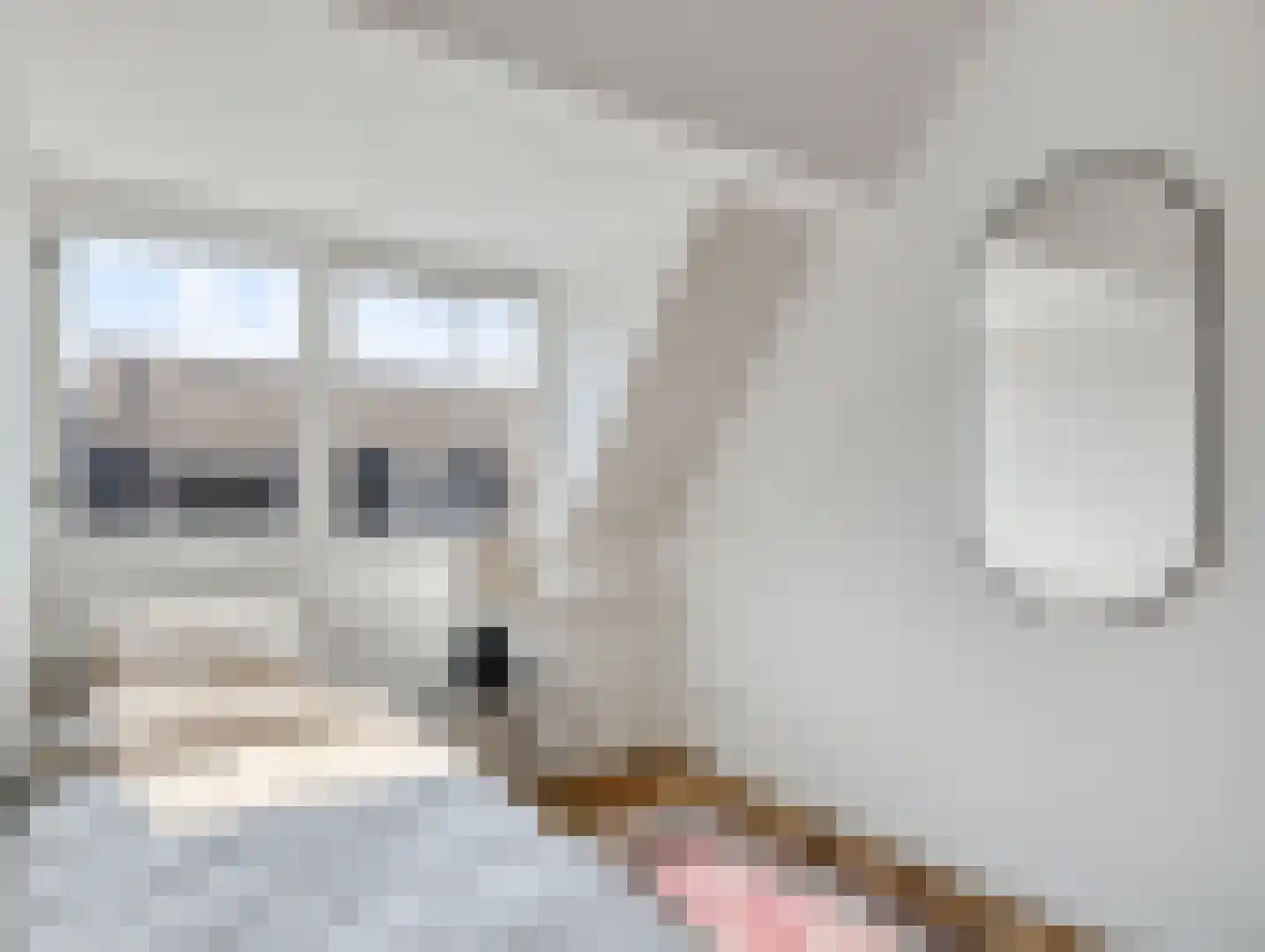 Oude Kerkstraat 48 Utrecht thumbnail 36