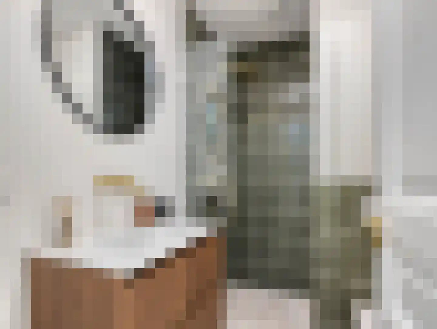 Oude Kerkstraat 48 Utrecht thumbnail 41