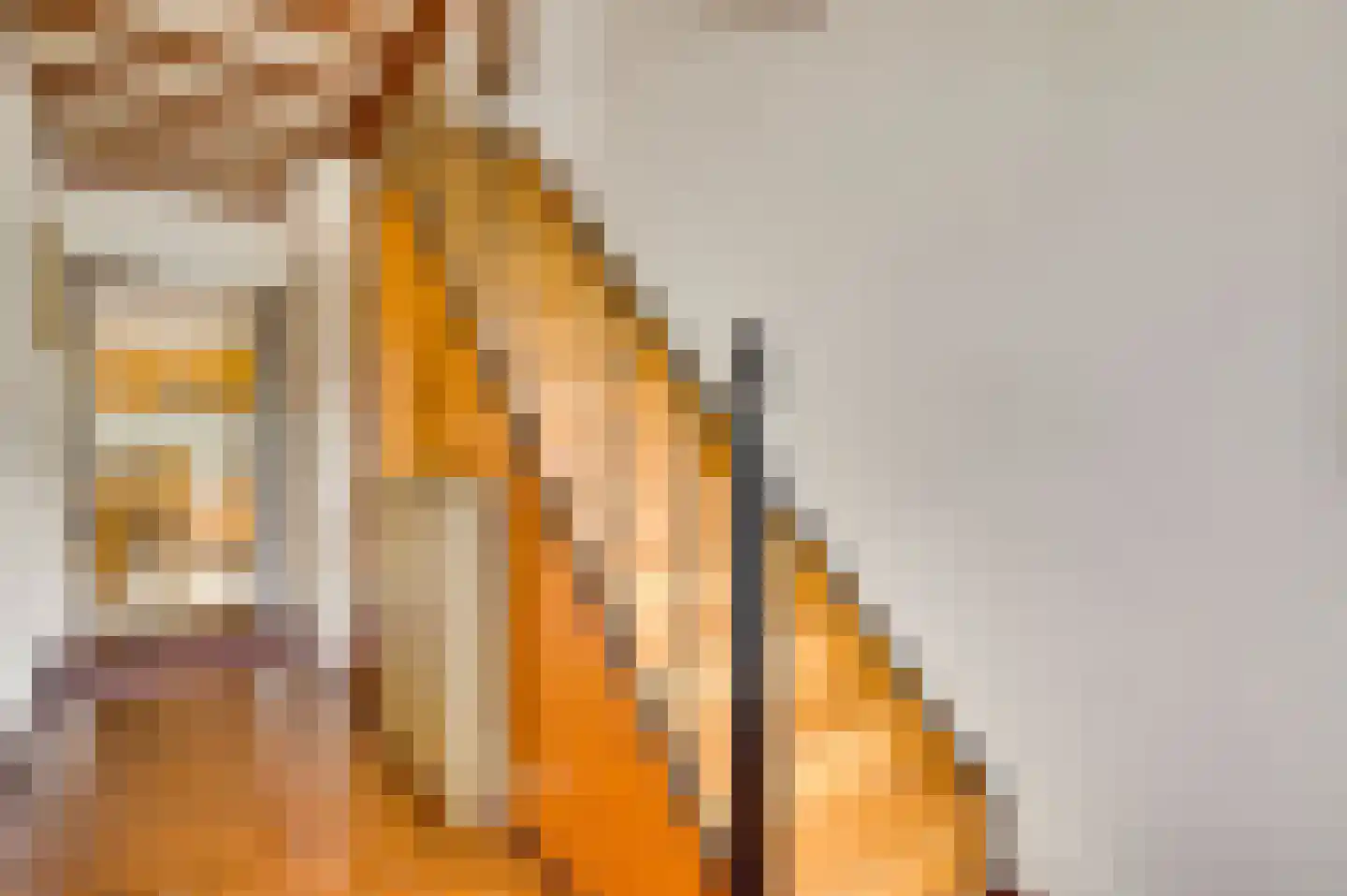 Oude Kerkstraat 5 Berg en Terblijt thumbnail 10