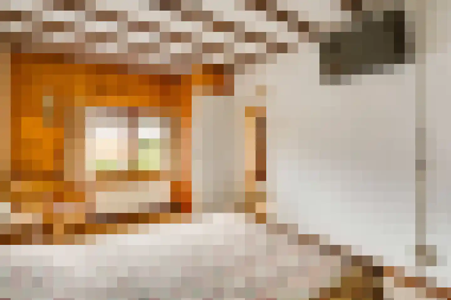 Oude Kerkstraat 5 Berg en Terblijt thumbnail 12
