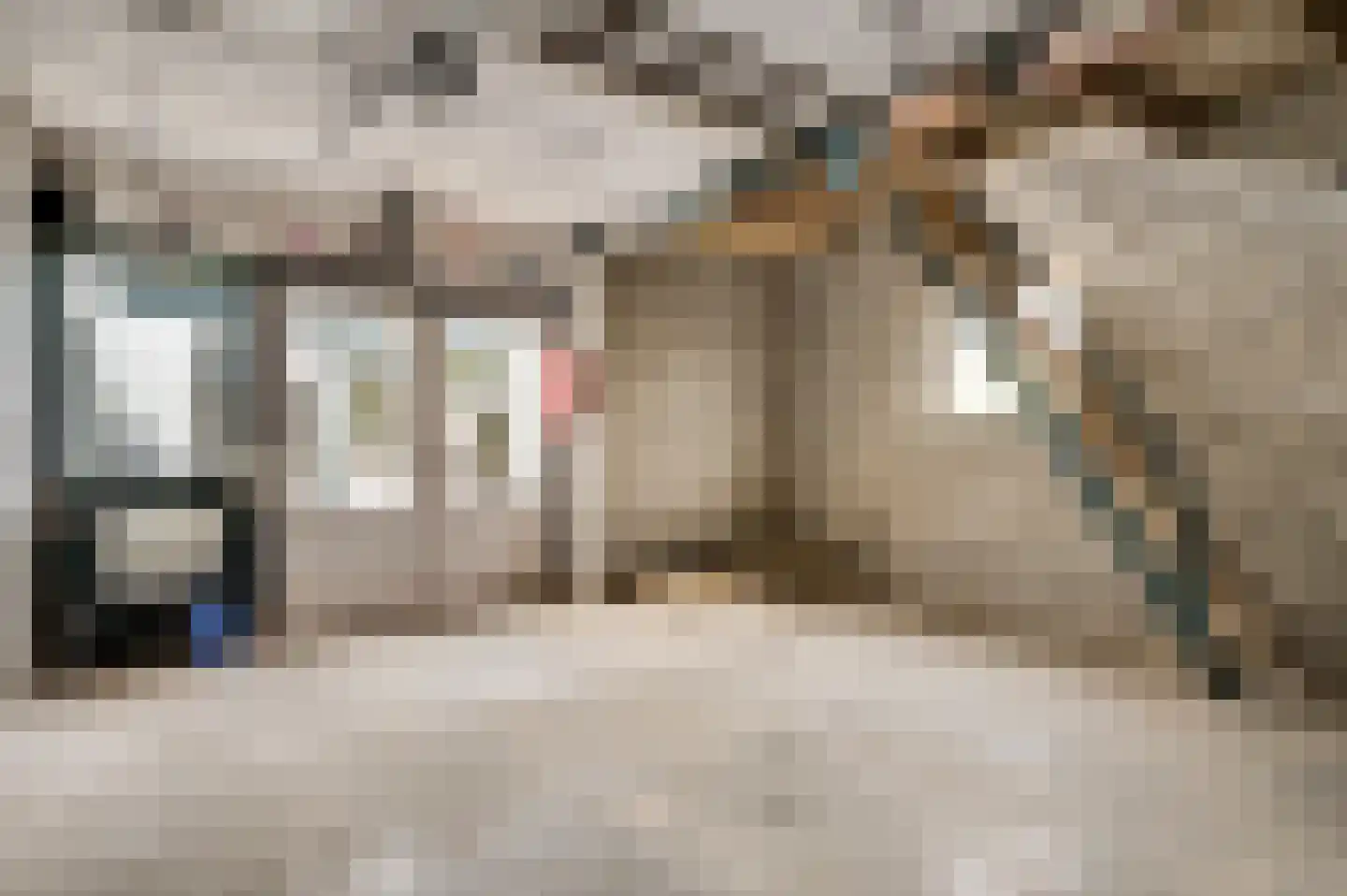 Oude Kerkstraat 5 Berg en Terblijt thumbnail 19