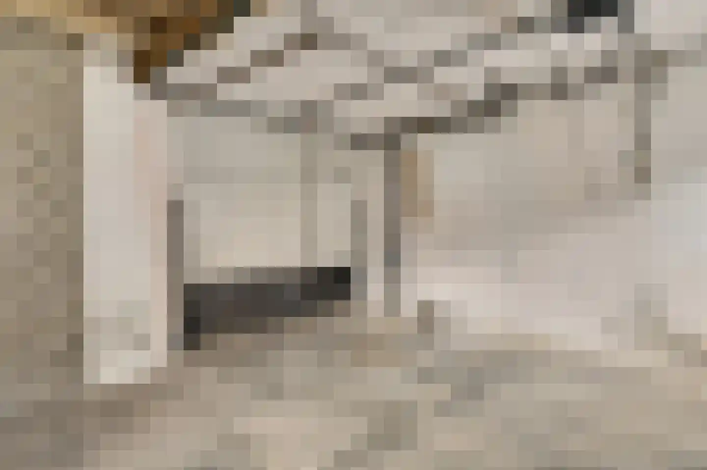 Oude Kerkstraat 5 Berg en Terblijt thumbnail 20