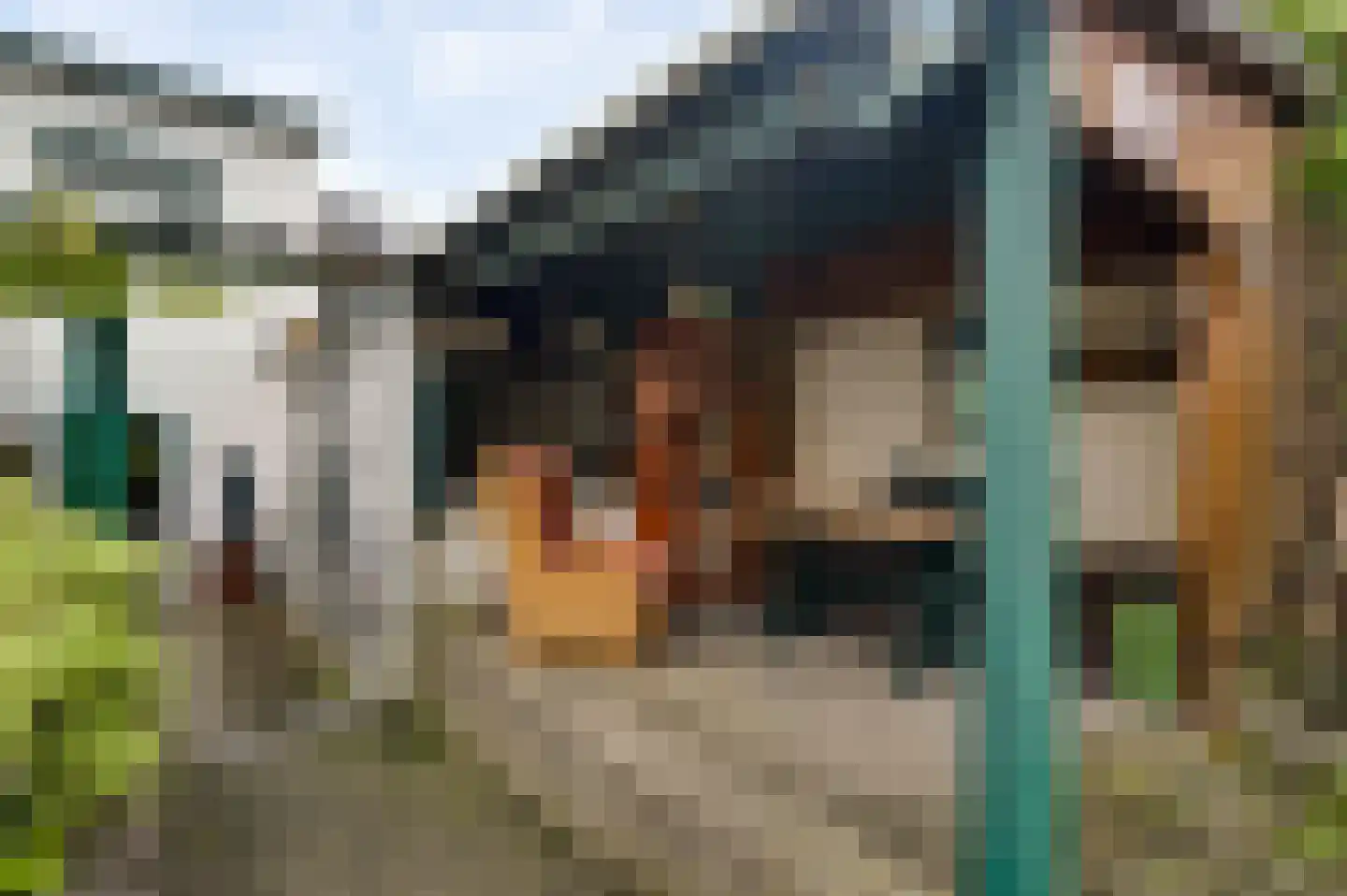 Oude Kerkstraat 5 Berg en Terblijt thumbnail 22