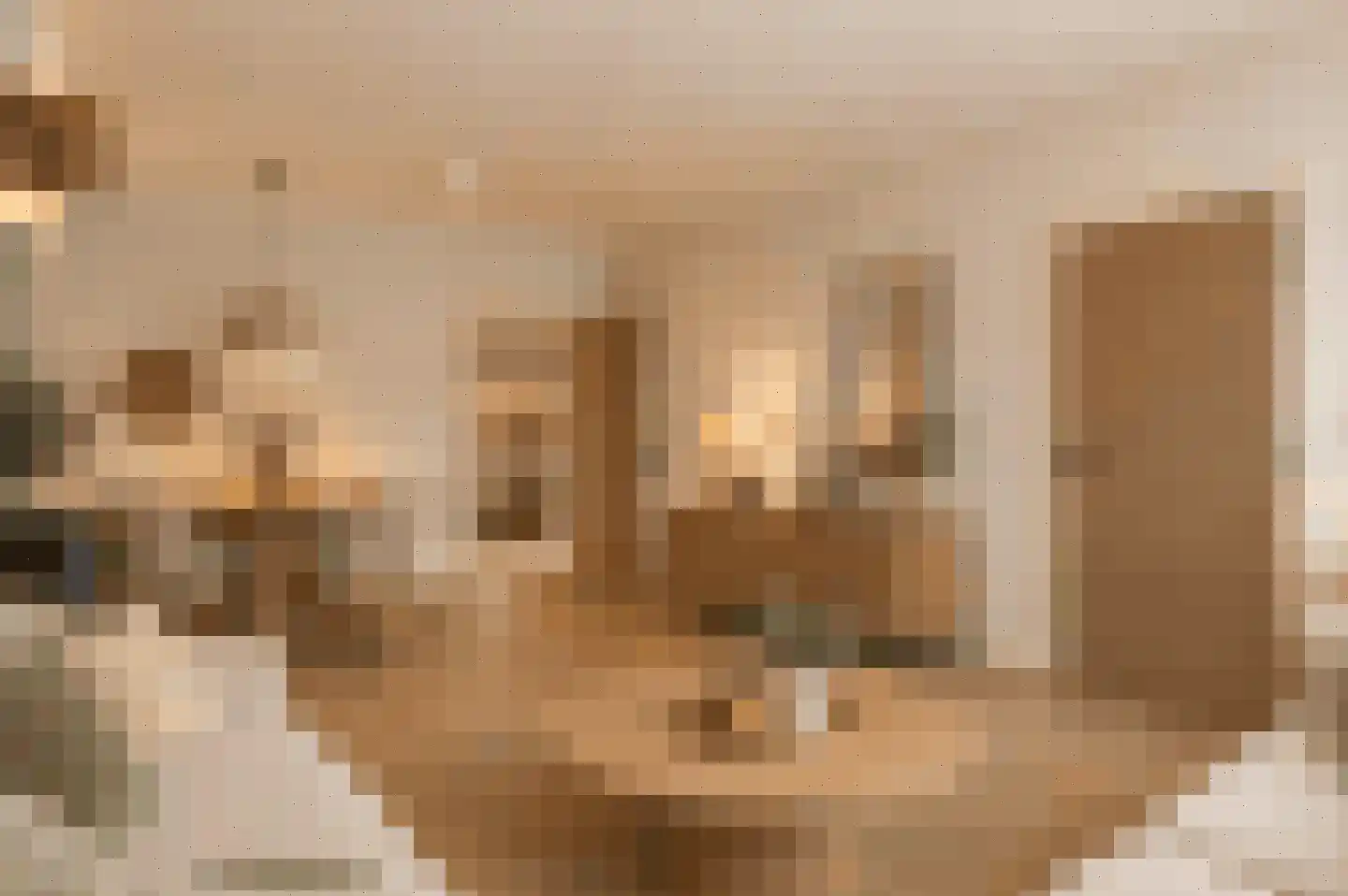 Oude Kerkstraat 5 Berg en Terblijt thumbnail 6