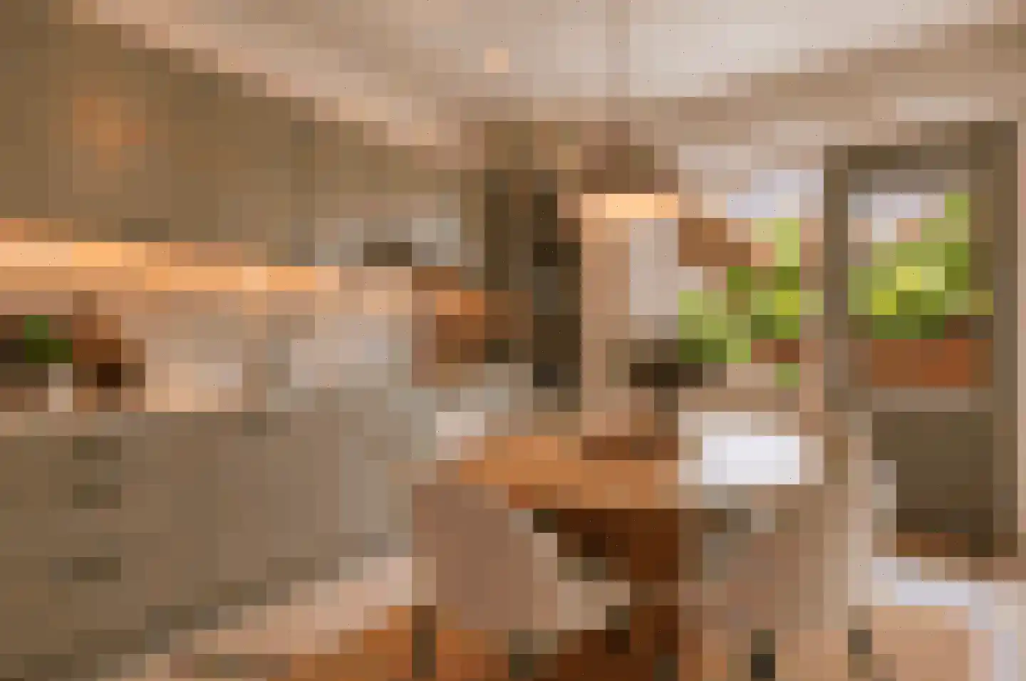 Oude Kerkstraat 5 Berg en Terblijt thumbnail 8