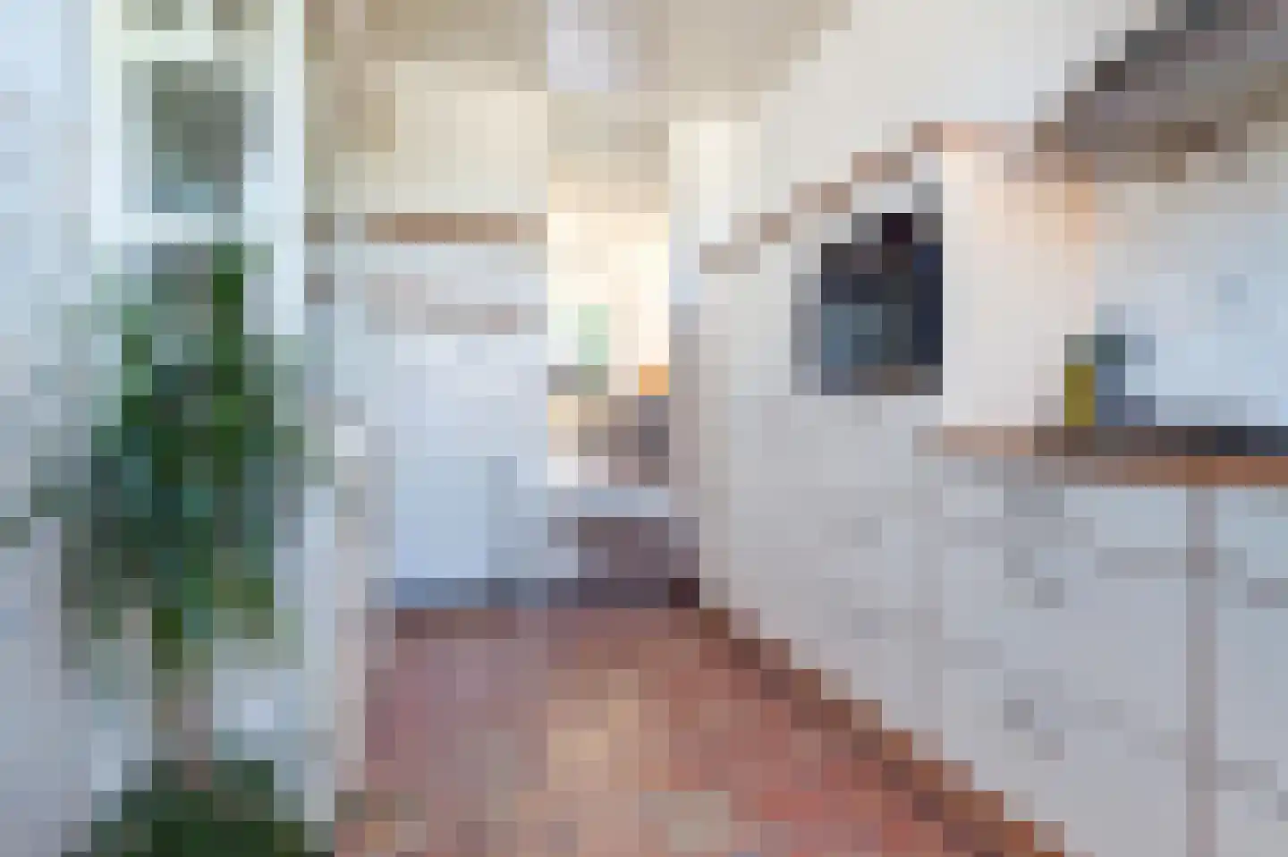 Oude Kerkstraat 75 Standdaarbuiten thumbnail 16