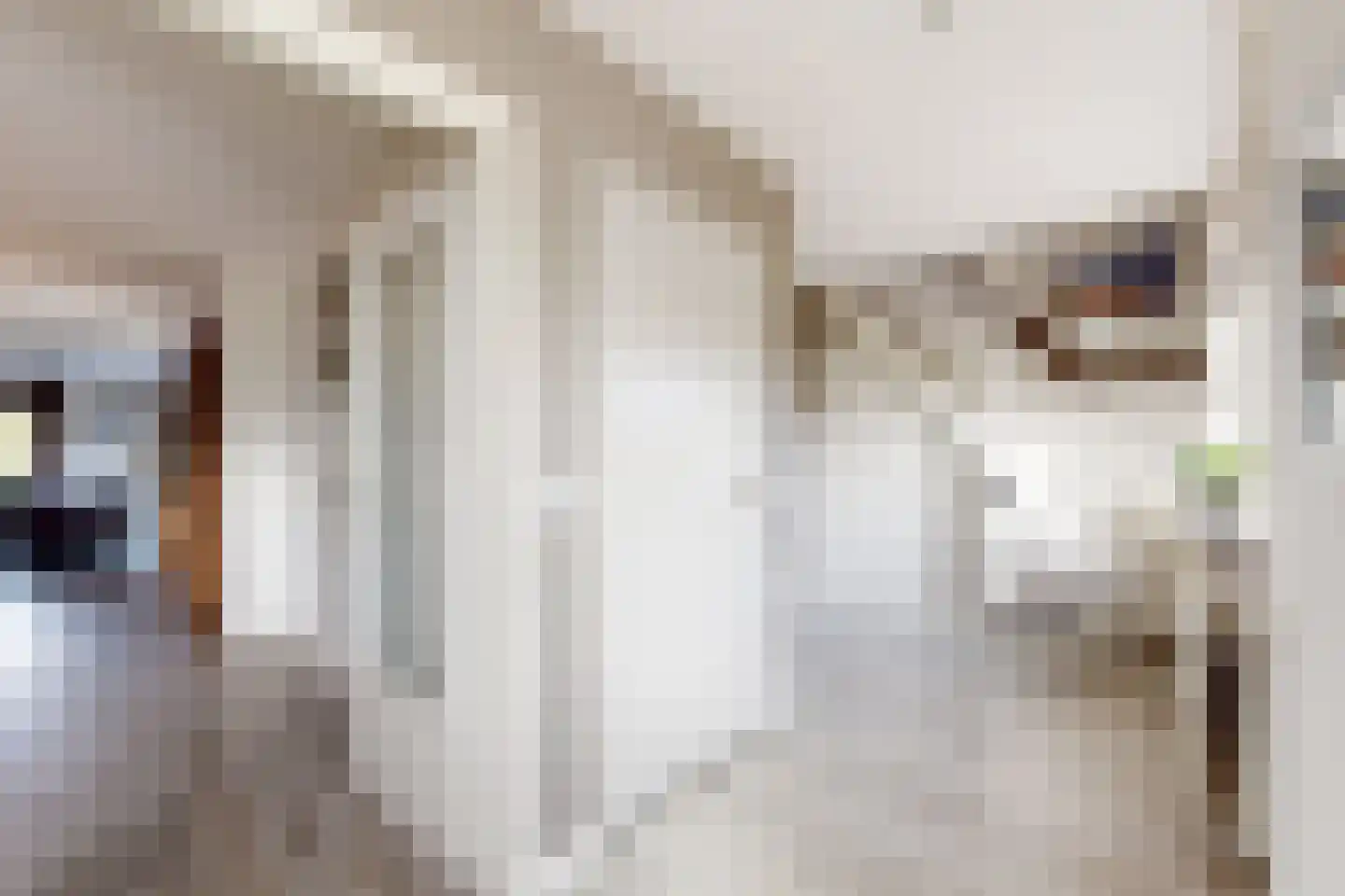 Oude Kerkstraat 79 Standdaarbuiten thumbnail 11