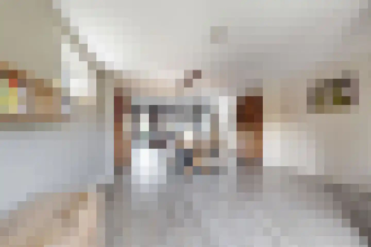 Oude Kerkstraat 79 Standdaarbuiten thumbnail 15