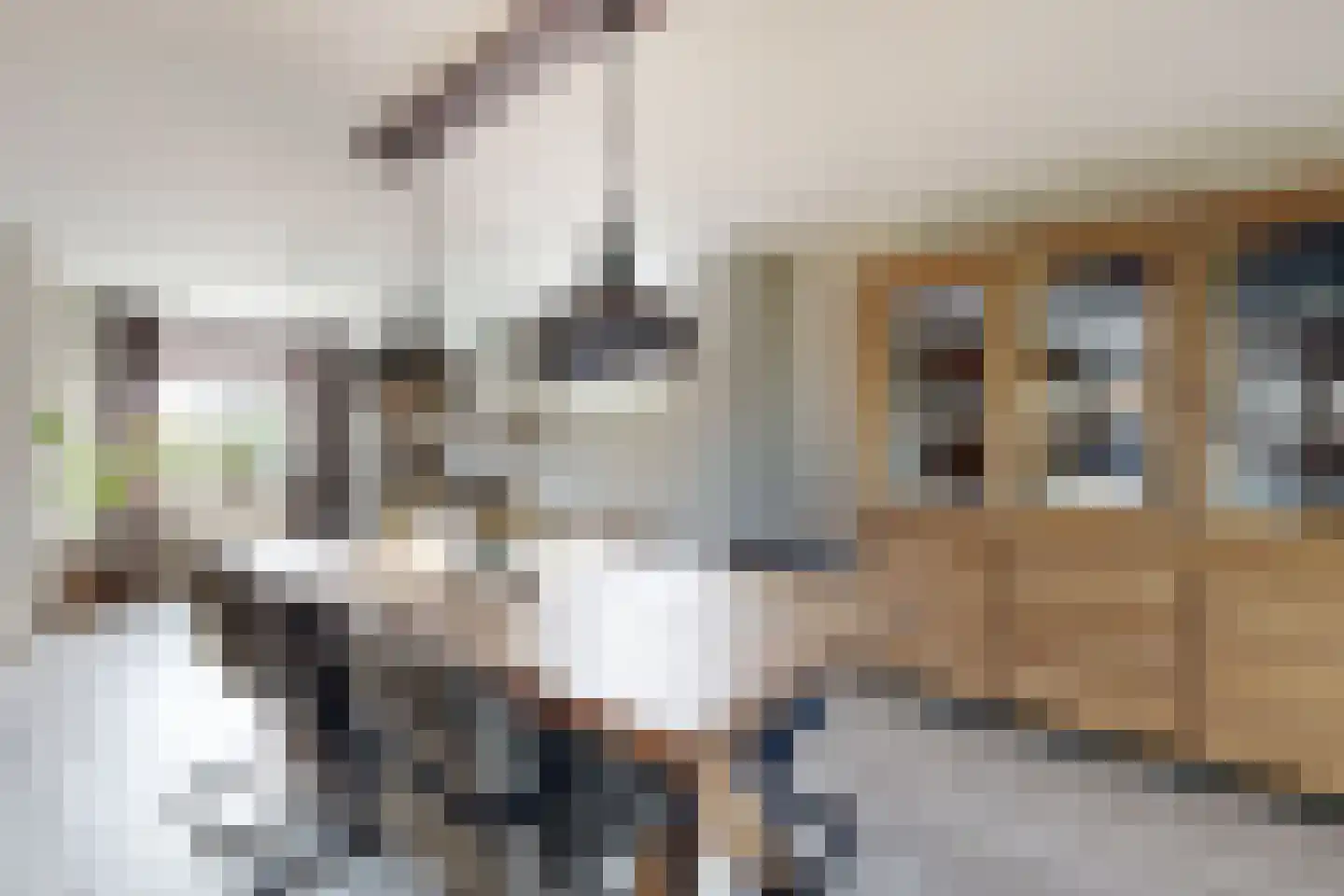 Oude Kerkstraat 79 Standdaarbuiten thumbnail 17