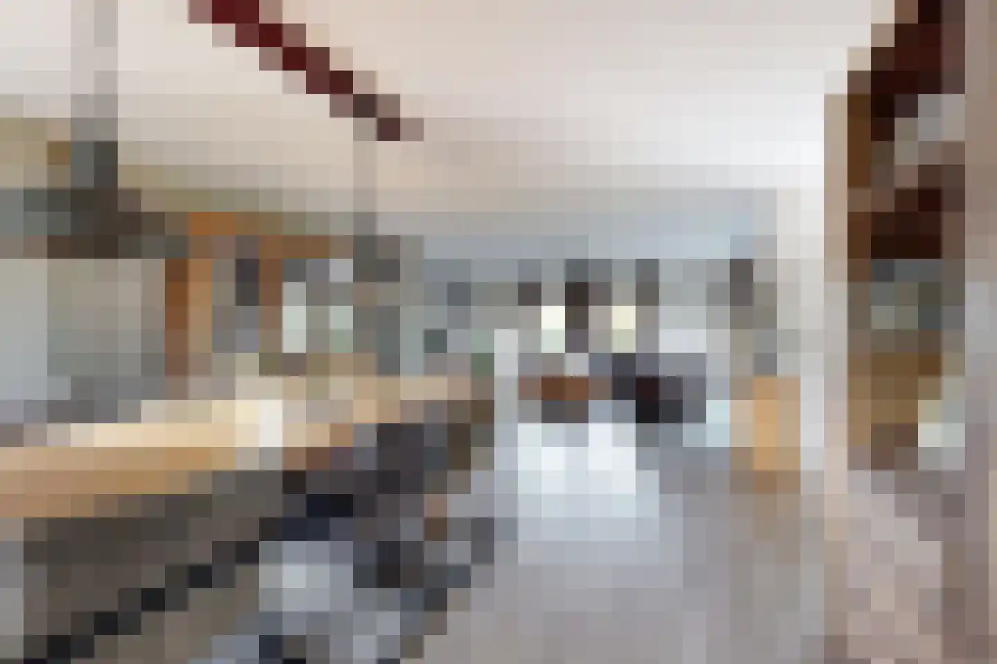 Oude Kerkstraat 79 Standdaarbuiten thumbnail 19