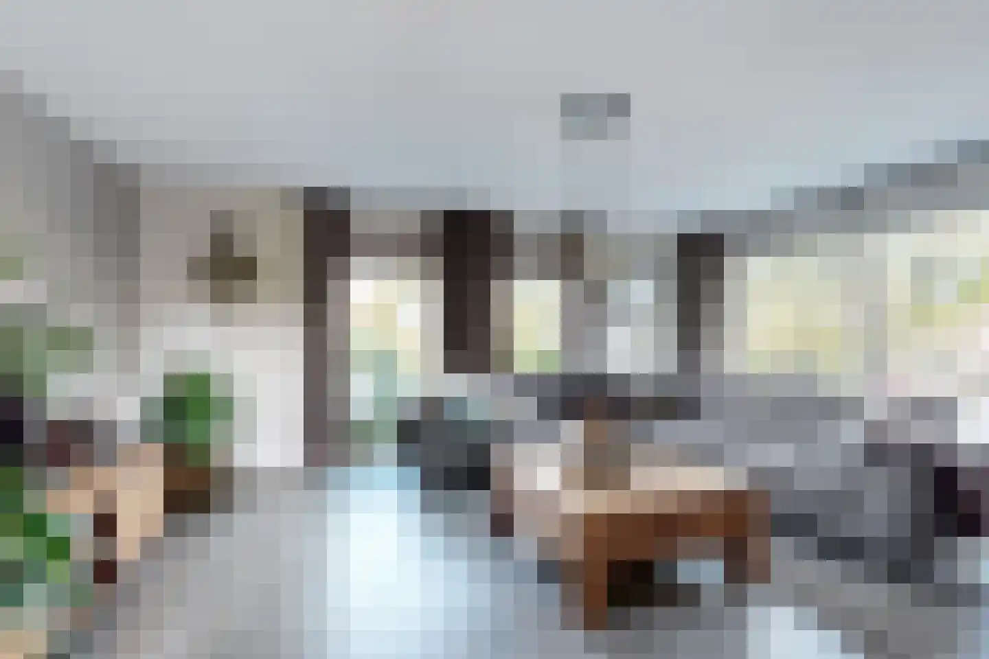 Oude Kerkstraat 79 Standdaarbuiten thumbnail 22